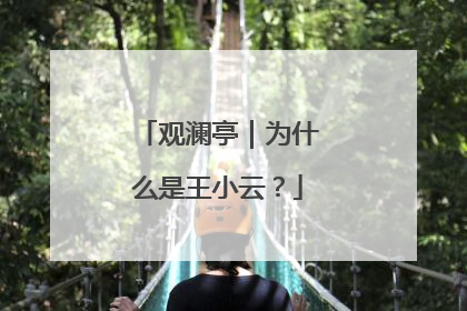 观澜亭｜为什么是王小云？