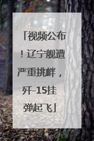 视频公布！辽宁舰遭严重挑衅，歼-15挂弹起飞