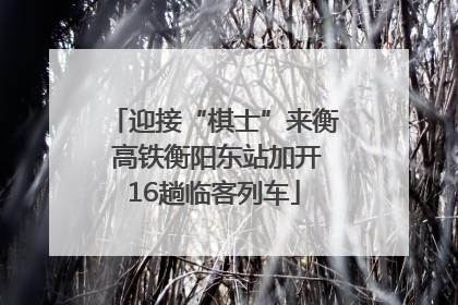迎接“棋士”来衡 高铁衡阳东站加开16趟临客列车