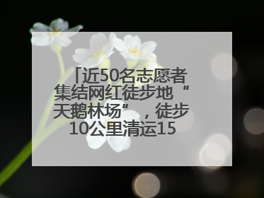 近50名志愿者集结网红徒步地“天鹅林场”，徒步10公里清运150余斤山野垃圾