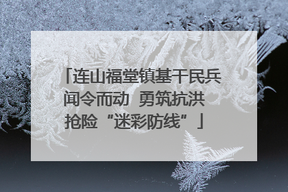 连山福堂镇基干民兵闻令而动  勇筑抗洪抢险“迷彩防线”