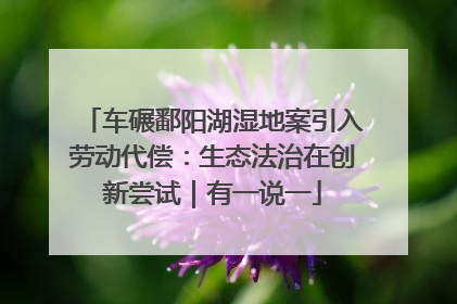 车碾鄱阳湖湿地案引入劳动代偿：生态法治在创新尝试｜有一说一