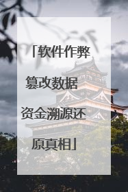 软件作弊篡改数据 资金溯源还原真相