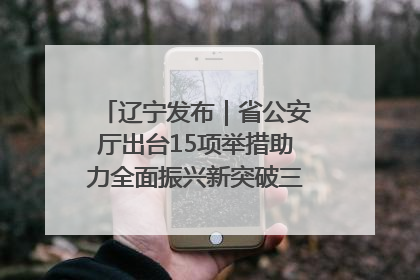 辽宁发布｜省公安厅出台15项举措助力全面振兴新突破三年行动决胜之战