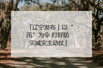 辽宁发布｜以“汛”为令 打好防灾减灾主动仗