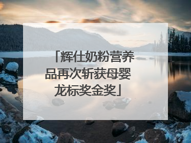 辉仕奶粉营养品再次斩获母婴龙标奖金奖