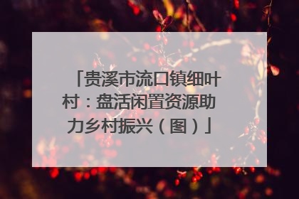 贵溪市流口镇细叶村：盘活闲置资源助力乡村振兴（图）
