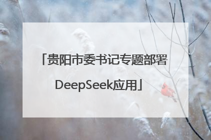 贵阳市委书记专题部署DeepSeek应用