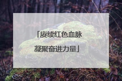 赓续红色血脉 凝聚奋进力量