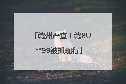 赣州严查！赣BU**99被抓现行