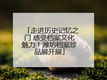 走进历史记忆之门 感受档案文化魅力！潍坊档案珍品展开展