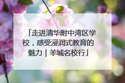 走进清华附中湾区学校，感受浸润式教育的魅力｜羊城名校行