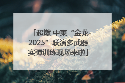 超燃 中柬“金龙-2025”联演多武器实弹训练现场来啦