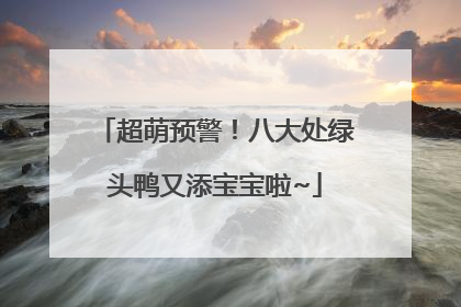 超萌预警！八大处绿头鸭又添宝宝啦~