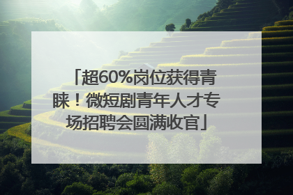 超60%岗位获得青睐！微短剧青年人才专场招聘会圆满收官