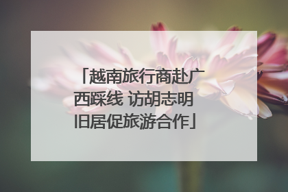 越南旅行商赴广西踩线 访胡志明旧居促旅游合作