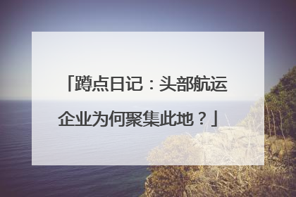 蹲点日记：头部航运企业为何聚集此地？