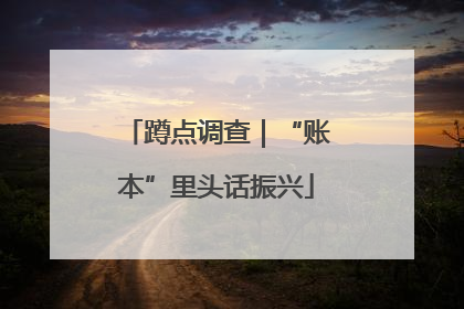 蹲点调查｜“账本”里头话振兴