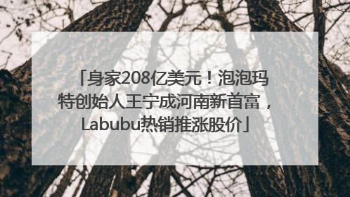 身家208亿美元！泡泡玛特创始人王宁成河南新首富，Labubu热销推涨股价