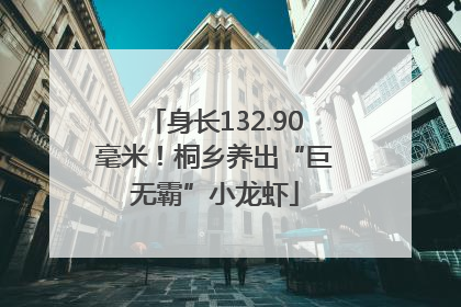 身长132.90毫米！桐乡养出“巨无霸”小龙虾