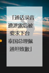 通话录音遭泄露后被要求下台 泰国总理佩通坦致歉