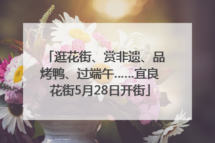 逛花街、赏非遗、品烤鸭、过端午……宜良花街5月28日开街