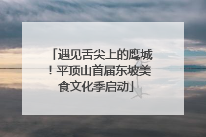 遇见舌尖上的鹰城！平顶山首届东坡美食文化季启动