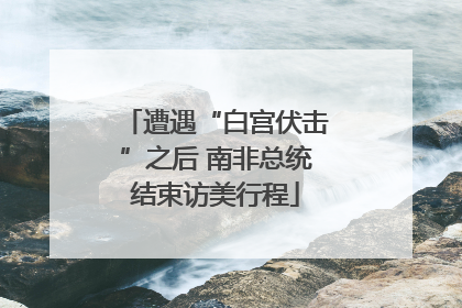 遭遇“白宫伏击”之后 南非总统结束访美行程