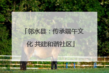 邻水县：传承端午文化 共建和谐社区
