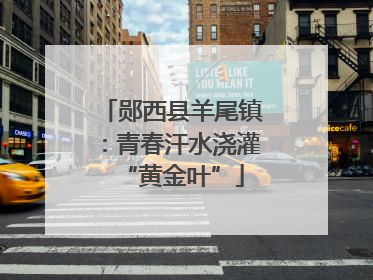 郧西县羊尾镇：青春汗水浇灌“黄金叶”