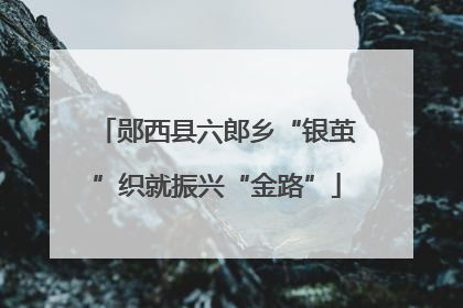 郧西县六郎乡“银茧”织就振兴“金路”