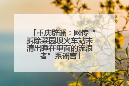 重庆辟谣：网传“拆除菜园坝火车站未清出睡在里面的流浪者”系谣言