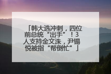 韩大选冲刺，四位前总统“出手”！3人支持金文洙，尹锡悦被指“帮倒忙”