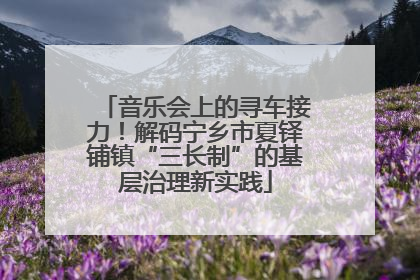 音乐会上的寻车接力！解码宁乡市夏铎铺镇“三长制”的基层治理新实践