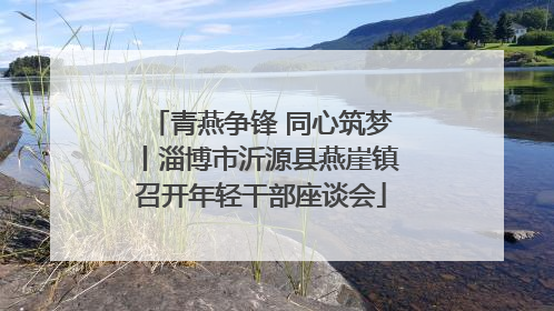 青燕争锋 同心筑梦丨淄博市沂源县燕崖镇召开年轻干部座谈会