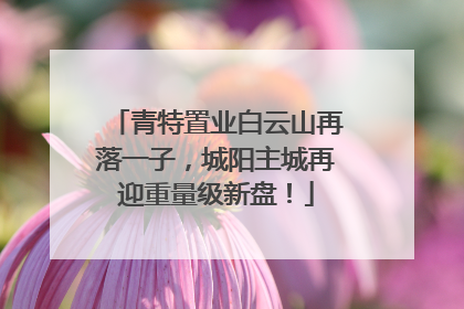 青特置业白云山再落一子，城阳主城再迎重量级新盘！