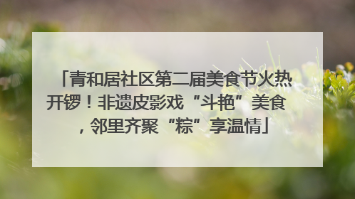 青和居社区第二届美食节火热开锣！非遗皮影戏“斗艳”美食，邻里齐聚“粽”享温情