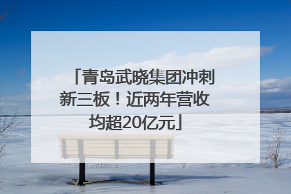 青岛武晓集团冲刺新三板！近两年营收均超20亿元