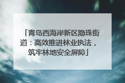 青岛西海岸新区隐珠街道：高效推进林业执法，筑牢林地安全屏障