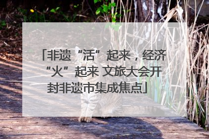 非遗“活”起来，经济“火”起来 文旅大会开封非遗市集成焦点