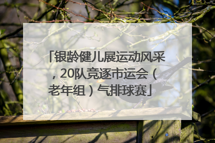 银龄健儿展运动风采，20队竞逐市运会（老年组）气排球赛