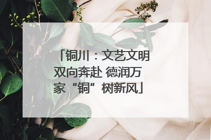 铜川：文艺文明双向奔赴 德润万家“铜”树新风