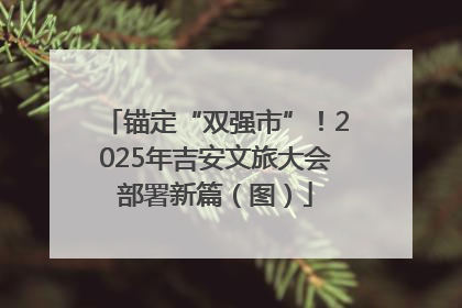 锚定“双强市”！2025年吉安文旅大会部署新篇（图）