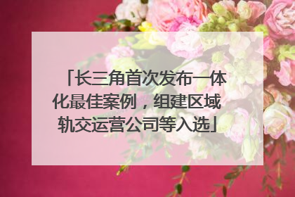 长三角首次发布一体化最佳案例，组建区域轨交运营公司等入选