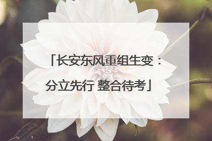 长安东风重组生变：分立先行 整合待考