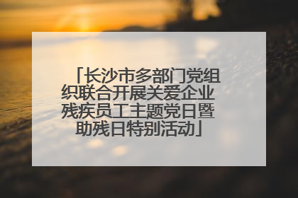 长沙市多部门党组织联合开展关爱企业残疾员工主题党日暨助残日特别活动