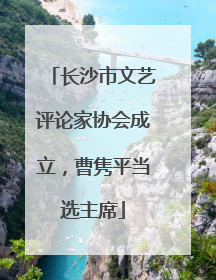 长沙市文艺评论家协会成立，曹隽平当选主席