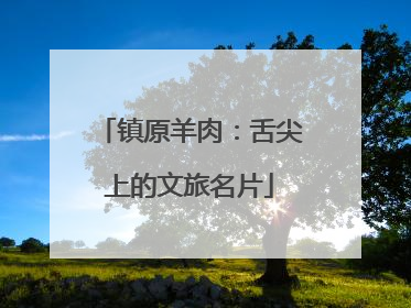 镇原羊肉：舌尖上的文旅名片
