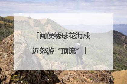闽侯绣球花海成近郊游“顶流”