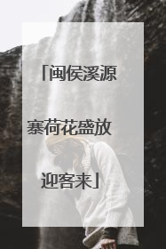 闽侯溪源寨荷花盛放迎客来